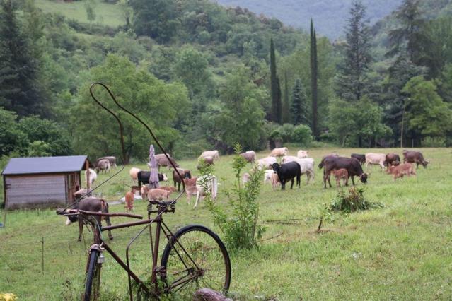 Bed&Breakfast Mas la Cabanya de Beget Bed & Breakfast Bagian luar foto